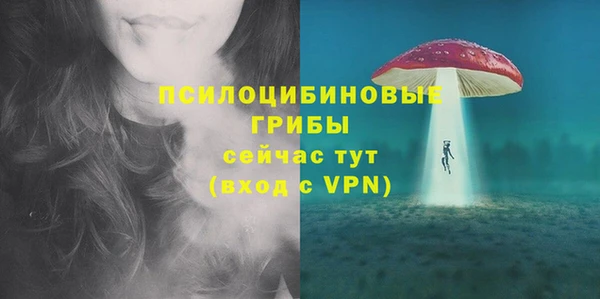прущая мука Алзамай