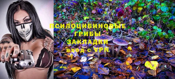 крисы Абаза