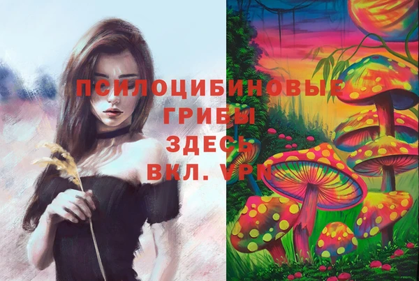 кокаин Алексин